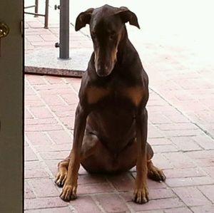 Meet your Posher, Eric